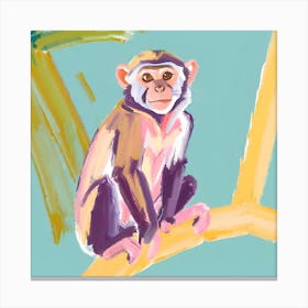 Capuchin Monkey 02 Canvas Print