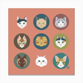 Whisker Gang [dusty salmon pink] Canvas Print