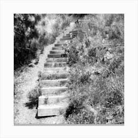 Escalier Canvas Print