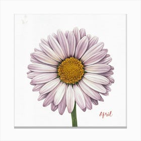 Daisy Canvas Print