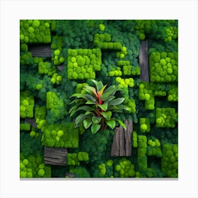 Moss Wall 3 Canvas Print