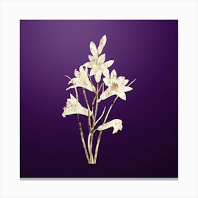 Gold Botanical St. Bruno's Lily on Royal Purple n.0309 Canvas Print