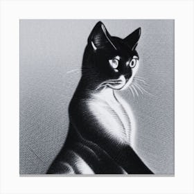 Siamese Cat Canvas Print