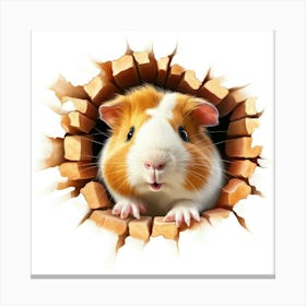 Guinea Pig Through A Hole Canvas Print