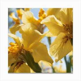 Yellow Irises Canvas Print