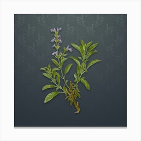 Vintage Garden Sage Botanical on Slate Gray Pattern n.0426 Canvas Print