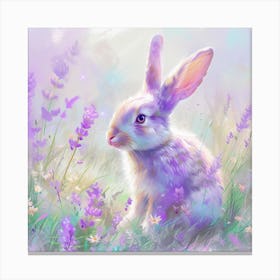 Bunny In Lavender 1 Canvas Print