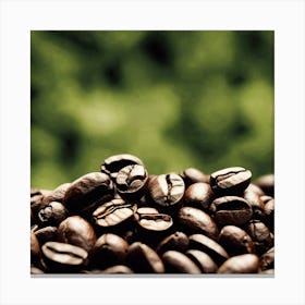 Coffee Beans Canvas Print Canvas Print