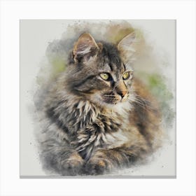 Maine Coon Cat Square Canvas Print