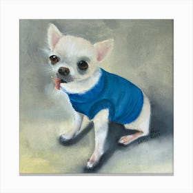 Chihuahua 1 Canvas Print