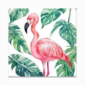 Pink Flamingo 2 Canvas Print