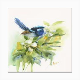 Blue Wren Canvas Print