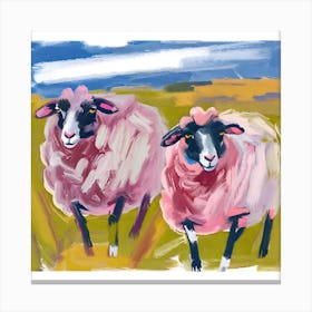 Merino Sheep 04 Canvas Print