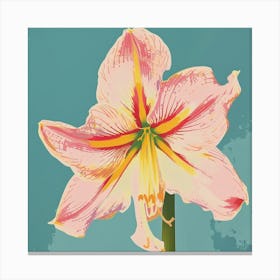 Amaryllis 4 Square Flower Illustration Canvas Print
