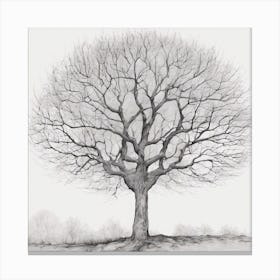 Bare Tree 5 Canvas Print