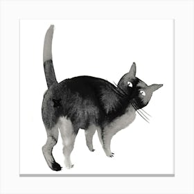 Kitty Canvas Print