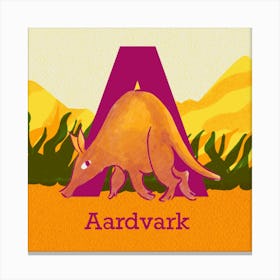 Aardvark Canvas Print