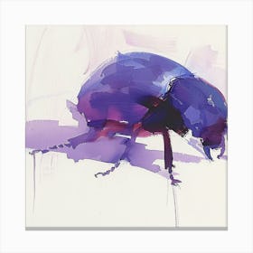 Beetle Purple Canvas Print