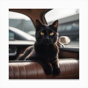 Black Cat In Car Canvas Print