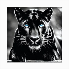 Black Panther 2 Canvas Print