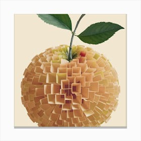 Apple Made Of Paper Canvas Print