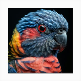 Portrait Of A Parrot 2 Canvas Print