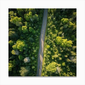 Aerial View Of A Forest Road 3 Canvas Print