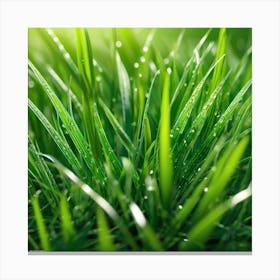 Green Grass 31 Canvas Print