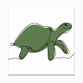 Turtle Canvas Print