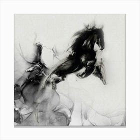 Black Horse Canvas Print