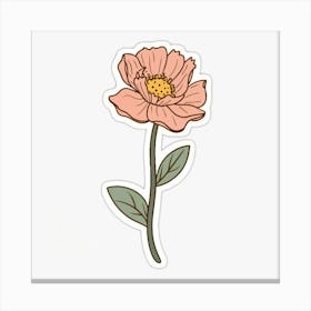 Peony Flower Canvas Print