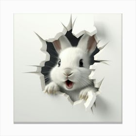 Rabbit Peeking Through A Hole 7 Canvas Print