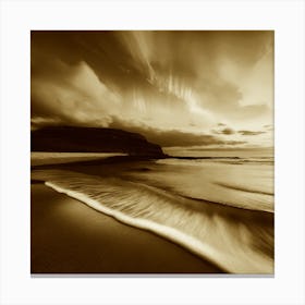 Sepia 1 Canvas Print