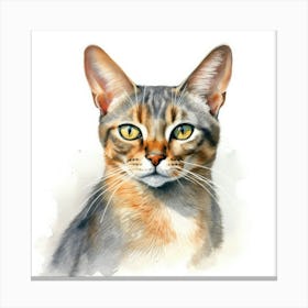 Malayan Cat Portrait 3 Canvas Print