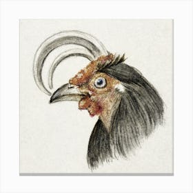 Head Of A Rooster, Jean Bernard Canvas Print