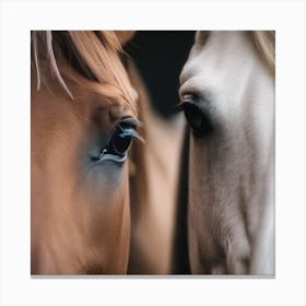 Horses Side By Side Canvas Print