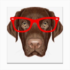 Chocolate Labrador Retriever With Glasses Lab Canvas Print