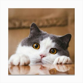 Cat Canvas Print