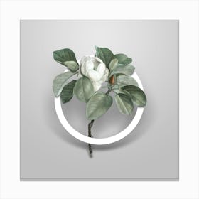 Vintage Magnolia Elegans Minimalist Floral Geometric Circle on Soft Gray n.0351 Canvas Print