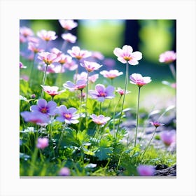 Pink Flowers 1 Canvas Print