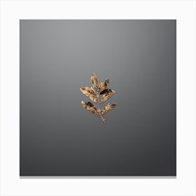 Gold Botanical Buxus Colchica Twig on Soft Gray n.4018 Canvas Print