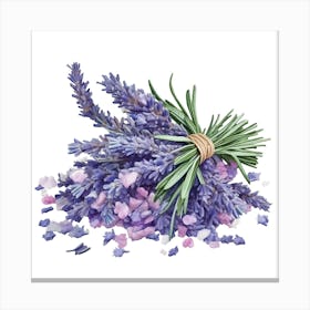 Lavender On A White Background Canvas Print