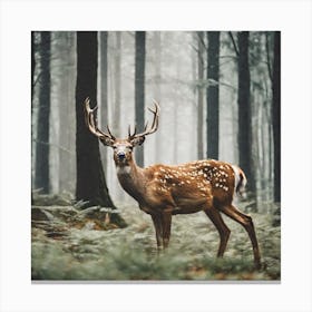 Deer In The Forest 1 Canvas Print