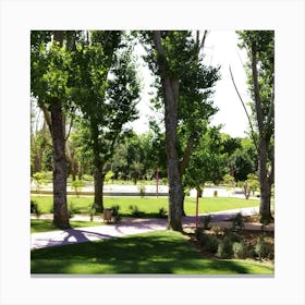 Park With Trees 1 Canvas Print