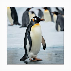 King Penguins Canvas Print