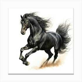 Black Horse Galloping 1 Canvas Print