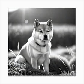 Black And White Dog Canvas Print