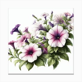 Flowers of Petunia 2 Canvas Print