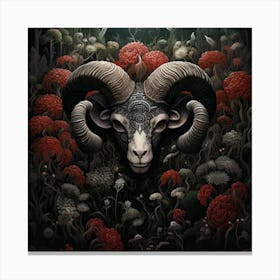 Black Ram Canvas Print