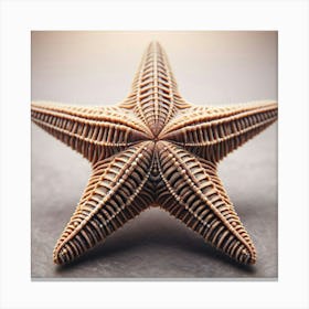 Starfish 4 Canvas Print